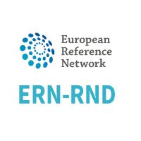 @ERN_RND 🧠(@ERN_RND) 's Twitter Profile Photo