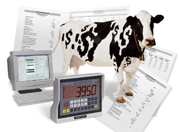 Farm management, dairy nutrition and cow comfort for maximum efficiency and production since 1993.
