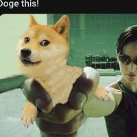 sane doge art(@AngelBa07269253) 's Twitter Profile Photo