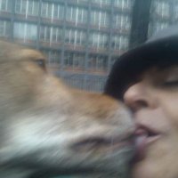 Free Pat (@patriziamarcian) 's Twitter Profile