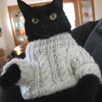 Beep Boop 2000 (@2000_beep) 's Twitter Profile