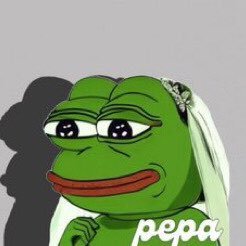 We are the Pepa Army people keep asking if this is a community take over no this is a Solana take over 🐸