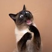 Rospider25097's profile picture. Crypto Entusiastic