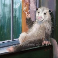 Angry Possum ᘛ⁐̤ᕐᐷ (@angrypossum69) 's Twitter Profile