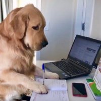sadecekerem (@bensadecekerem) 's Twitter Profile