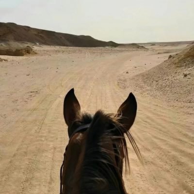 AAAJJJJay's profile picture. 撸毛 | Alpha |