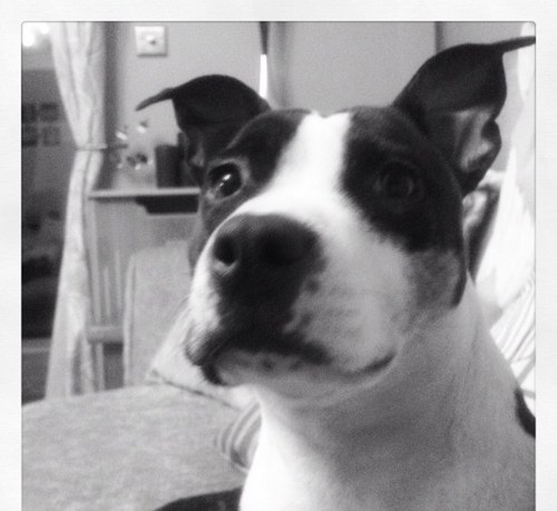 Colesy6's profile picture. Likeable lad