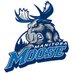 Manitoba Moose (@ManitobaMoose) Twitter profile photo