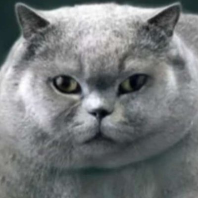 SnowieOwieさんのプロフィール画像