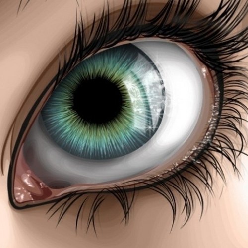 barbibouille31's profile picture. 