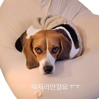 꾸니곤듀🫶🏻🩵(@junga0603) 's Twitter Profile Photo