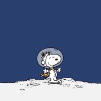 ghostie 🇵🇸 (@lefttowander) 's Twitter Profile