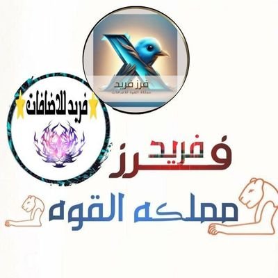 تابع الفرز✈ وأتفاعل✈ مع تويتة..... الفرز  لايك ❤ريتويت🔁واكتب تم ™️ هتزيد 🌶 #فرز_مملكة_القوة #مجتمع_فريد_للاضافات #قروبات_مملكة_القوة   بقيـادة #فريد🦅