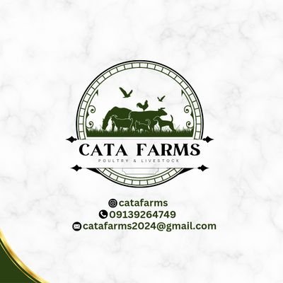 Cata Farm is a mixed farm located in Abuja, Nigeria.
We're passionate about Farming(Animal husbandry).Pls stay updated to this page always.