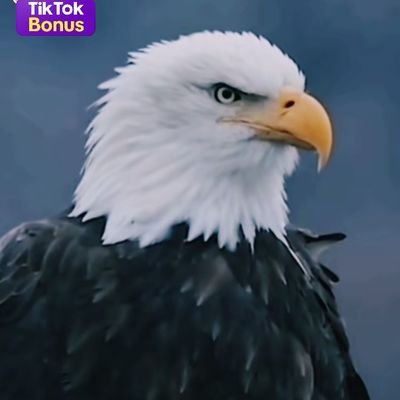 Fernand79863516's profile picture. 