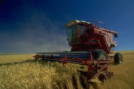 harvestcreekins's profile picture. 