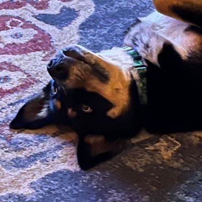 SouthSparta's profile picture. 