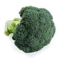 🦑🥕🐄のゲームがすこ 素敵な飯テロをお送りするアカウント ブロッコリーおいしいさん🥦 生まれも育ちも在住も推しも北海道🫶天安門事件