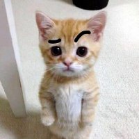 izcat (@izzykatze) 's Twitter Profile Photo izcat (@izzykatze) 's Twitter Profile Photo