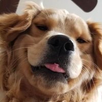 iti malias (@itimaliasof) 's Twitter Profile