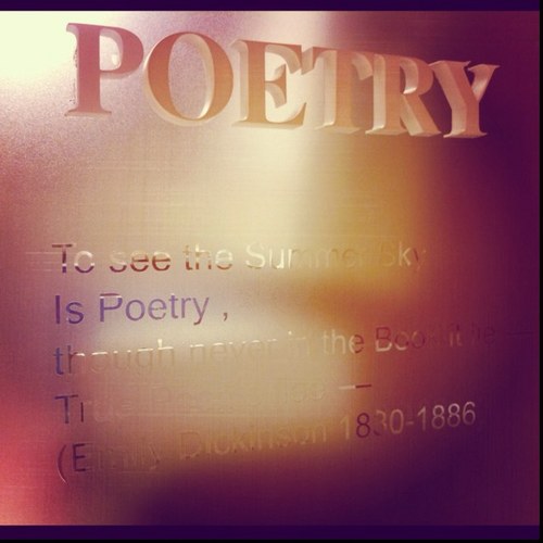 chloeboa2611's profile picture. 