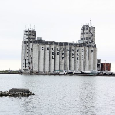 CWallace411's profile picture. 