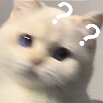 skyumibear's profile picture. I don’t know