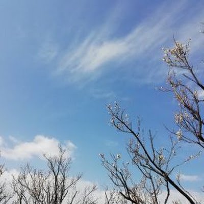 ks9342871930586's profile picture. 