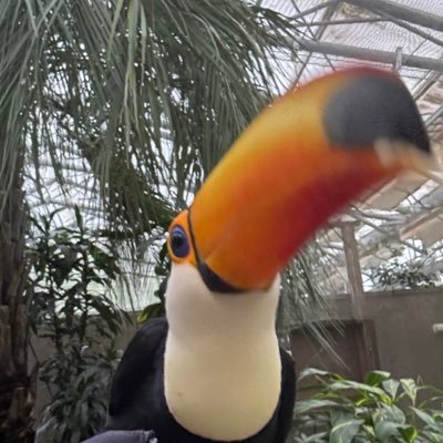 おか ひじきさんのプロフィール画像