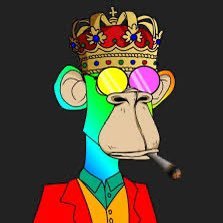 coindolares's profile picture. #testnet #presale #coinlist