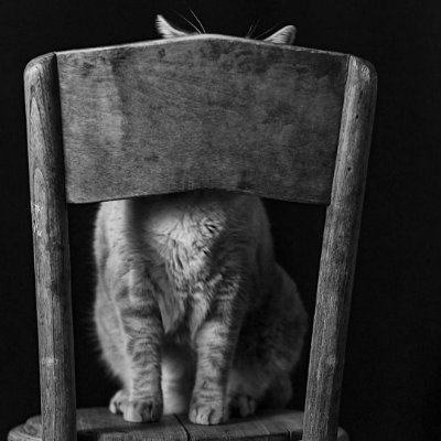 zr1057's profile picture. 