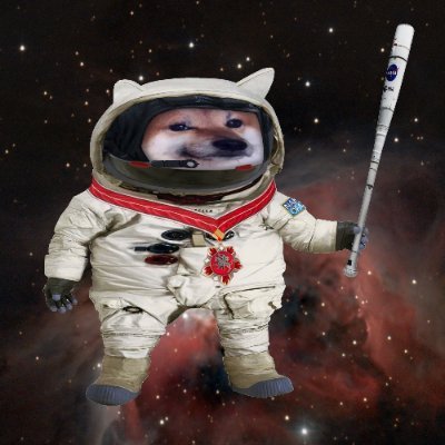 Space Fella 🇺🇦 △🦩 Profile