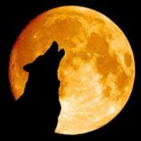 The Steppenwolf(@EShcherbitskiy) 's Twitter Profile Photo