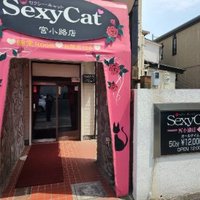 セクシーキャット宮小路 (@sc_miyakouji) 's Twitter Profile