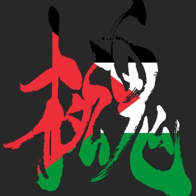 Previously an account for Metal Gear shitposting, now for retweeting information regarding the genocide in Palestine.