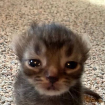 apreyx's profile picture. 25