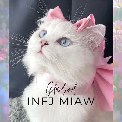 An INFJ Miaw Miaw 🐈🐈‍⬛🐈🐈‍⬛🌼
Dudu,Rocky,Gru,Belang,Garfield,Carra,Cimut,Cici,Loki,Luna,Milo,Nala,Pita,Wortel,Baby,Rainbow,Cimol,Phobos,Demos,Do,Re,Mi,Fa