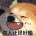 昨夜灯 (@zuoyedeng) Twitter profile photo 昨夜灯 (@zuoyedeng) Twitter profile photo