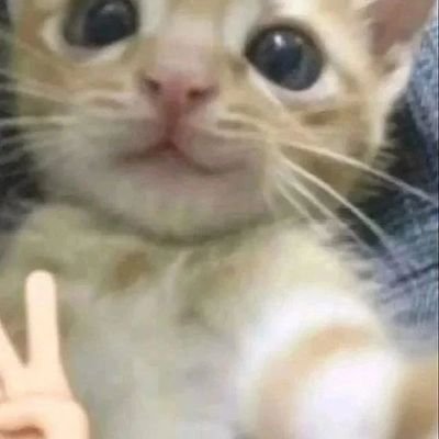 Dukeさんのプロフィール画像