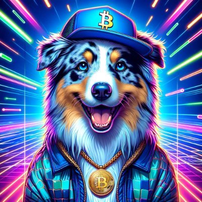 BitPups will help dogs in need with Bitcoin