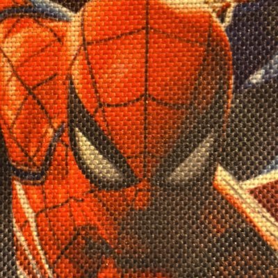 SpiderGraceArty Profile Picture
