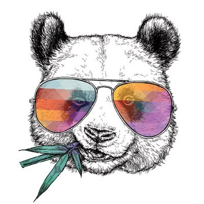 MrPanda_bro's profile picture.