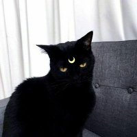 就可以 (@quiet_them) 's Twitter Profile