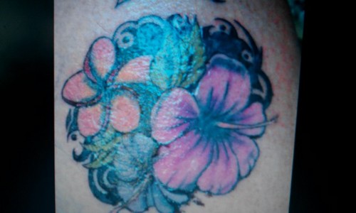 2201hibiscus's profile picture. 