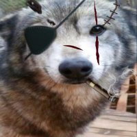 theo's alt (@ttsalt1) 's Twitter Profile
