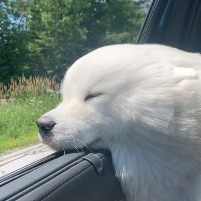 nidhi_klk's profile picture. Advocate