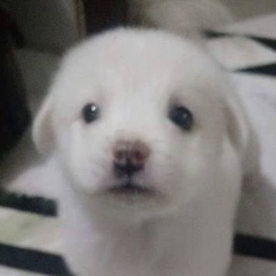 ynmj0101's profile picture. dm 확인 힘들어요!!!
https://t.co/NyoJ2vMM3I