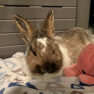 kdwongton's profile picture. trappin n nappin