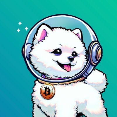 BITCHCOIN is the deflationary meme coin, in honor of Satoshis Bitch; a fiercely loyal female bichon pup who dreams about going to the moon. Join our community!