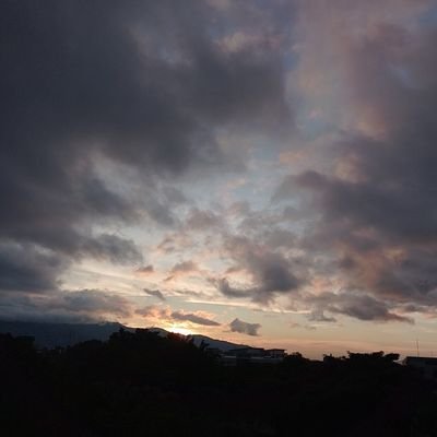 Alejand61615839's profile picture. 